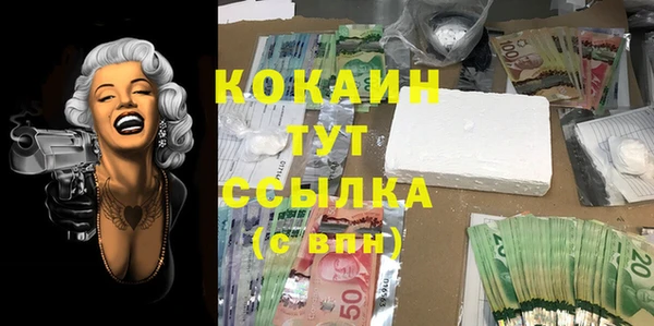 дурь Алексин