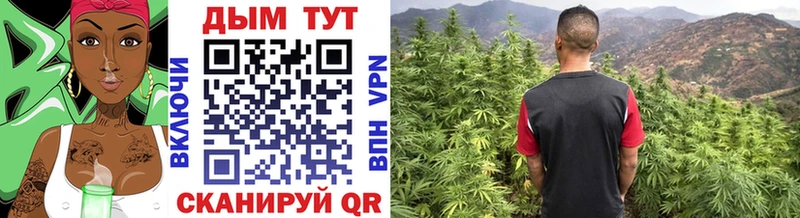blacksprut ТОР  Чехов  Шишки марихуана тримм 